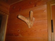 �n���K�[�Q