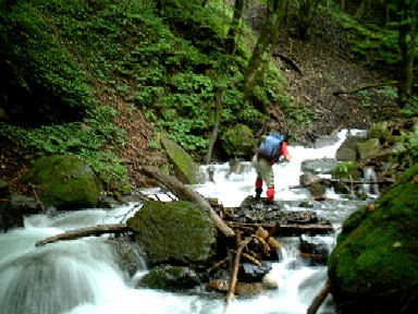 �k�_��T��