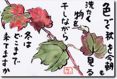 HF̊G莆@FÂH󕨂Ȃ~͂ǂ܂ŗĂ܂