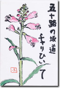 JNgmI̊G莆@܏\H̍⓹`Ђ