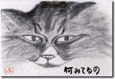 猫「クロ」の絵手紙 何みてるの