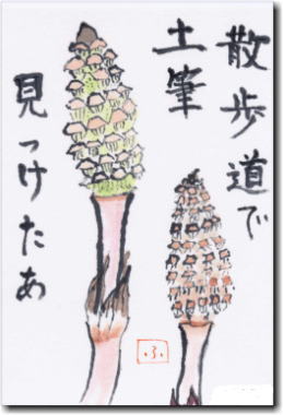 yM̊G莆@UœyM