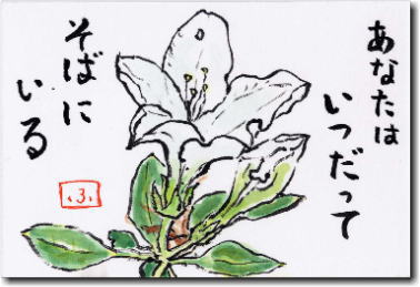 ̊G莆@Ȃ͂Ă΂ɂ