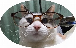 shiro_with_glass_2.JPG