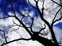 空