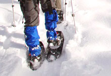 snowshoe