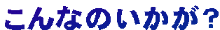 ����Ȃ̂������H
