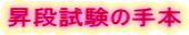 昇段試験の手本