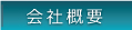 ЊTv