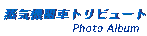 ���C�@�֎ԃg���r���[�g