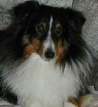 �g�b�v �A�C�R��