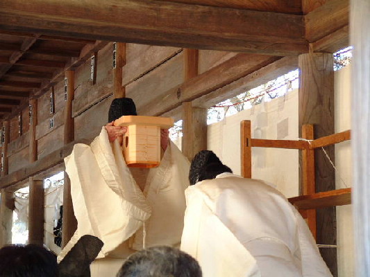image11