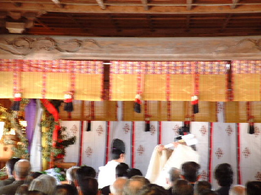 image12