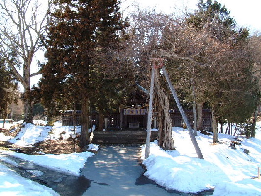 image3