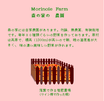 有機栽培の自家菜園
