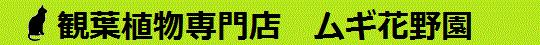 ムギ花野園