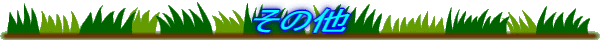 ̑