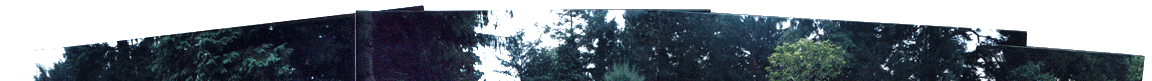 all1.gif (51426 oCg)