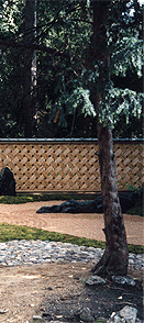 kare13.gif (38151 oCg)