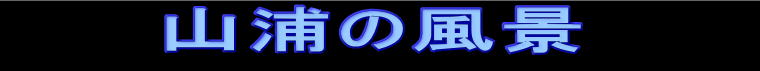     �R�Y�̕��i