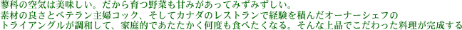 Ȃ̋C͔c
