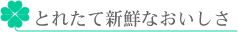 ƂꂽĐVNȂ
