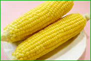 ÂĂՂՂ̍̂ꂽĂƂ낱