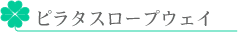 s^X[vEFC