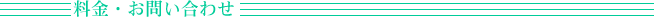 E₢킹
