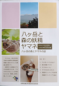 もりのようせいやまね