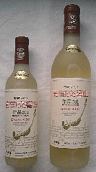 ȁ@iQOP@@n[tt