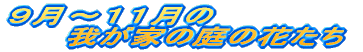 X̉䂪Ƃ̒̉Ԃ