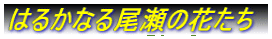 ͂邩Ȃ̉Ԃ