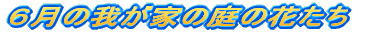 Ủ䂪Ƃ̒̉Ԃ