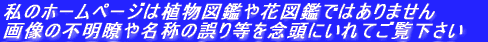 ̃z[y[W͐A}ӂԐ}ӂł͂܂ 摜̕sĂ▼̂̌蓙OɂĂ