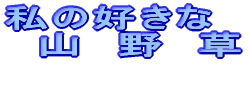 ̍D R쑐 