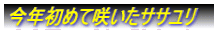N߂č炢N}KC\E