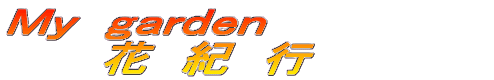 l@@ @@@@@͂ȋIs