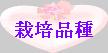 hinshu1