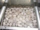 製造工程２
