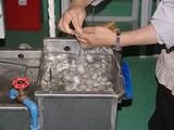 製造工程１