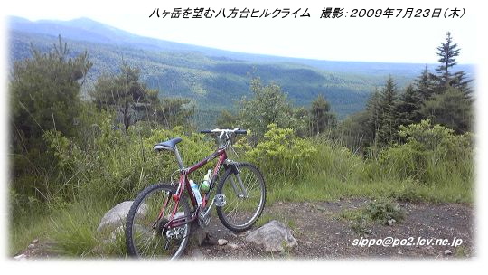 年賀2010年
