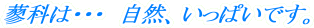 Ȃ́EEE@RAςłB