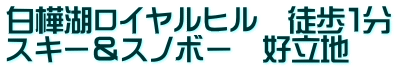 白樺湖ロイヤルヒル　徒歩１分 スキー＆スノボー　好立地