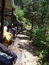 20080601_pics/sDSCF1194.JPG