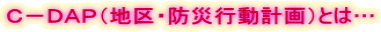 Ｃ－ＤＡＰ（地区・防災行動計画）とは…