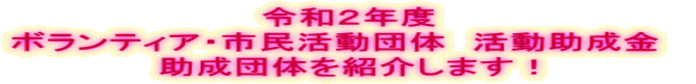 令和２年度 ボランティア・市民活動団体　活動助成金　 助成団体を紹介します！