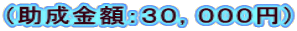 （助成金額：３０，０００円）