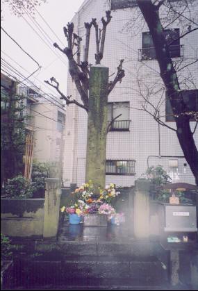 Vgm{