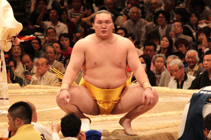 ̉񂵎p̉jQ